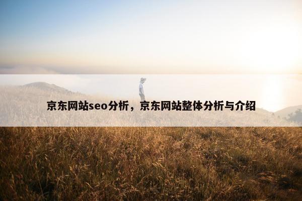 京东网站seo分析，京东网站整体分析与介绍