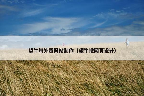 望牛墩外贸网站制作（望牛墩网页设计）