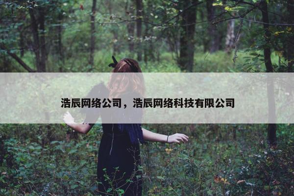 浩辰网络公司，浩辰网络科技有限公司