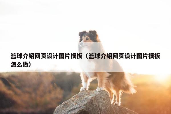 篮球介绍网页设计图片模板（篮球介绍网页设计图片模板怎么做）
