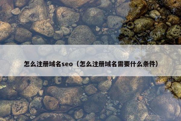 怎么注册域名seo（怎么注册域名需要什么条件）