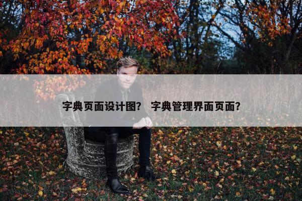 字典页面设计图？ 字典管理界面页面？