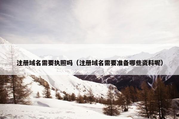 注册域名需要执照吗（注册域名需要准备哪些资料呢）