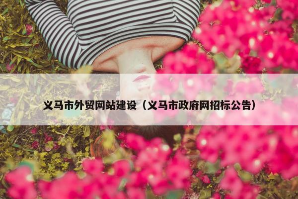 义马市外贸网站建设（义马市政府网招标公告）