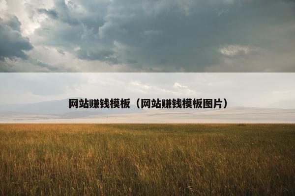 网站赚钱模板（网站赚钱模板图片）