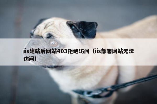 iis建站后网站403拒绝访问（iis部署网站无法访问）