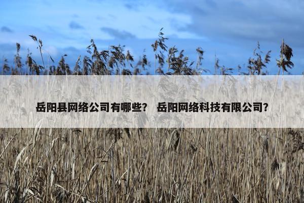 岳阳县网络公司有哪些？ 岳阳网络科技有限公司？