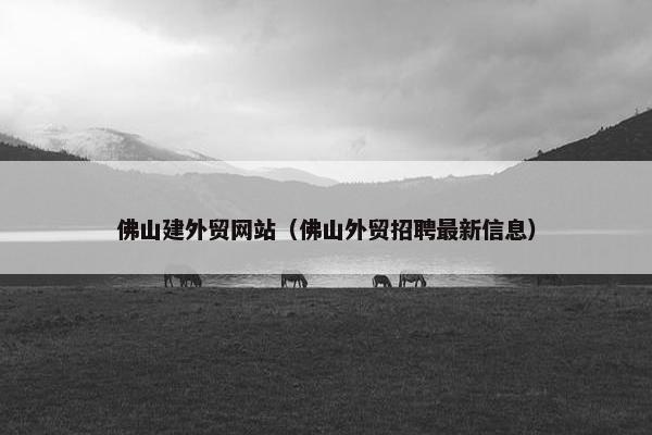 佛山建外贸网站（佛山外贸招聘最新信息）