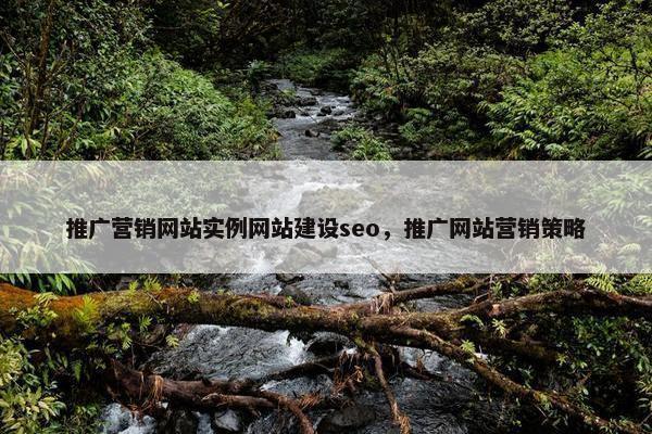 推广营销网站实例网站建设seo，推广网站营销策略