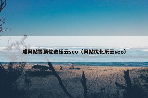 成网站置顶优选乐云seo（网站优化乐云seo）
