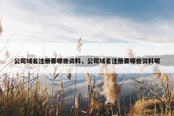 公司域名注册要哪些资料，公司域名注册要哪些资料呢