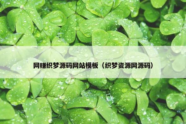 网赚织梦源码网站模板（织梦资源网源码）