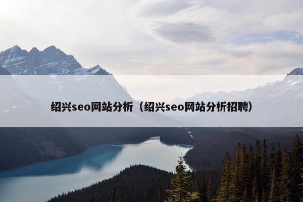 绍兴seo网站分析（绍兴seo网站分析招聘）