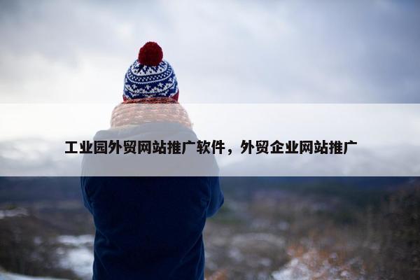 工业园外贸网站推广软件，外贸企业网站推广
