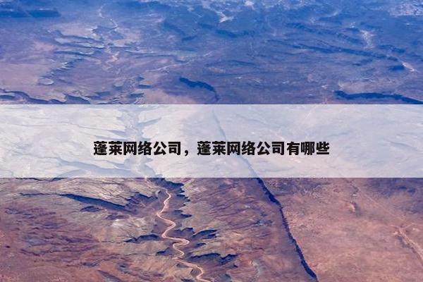 蓬莱网络公司，蓬莱网络公司有哪些