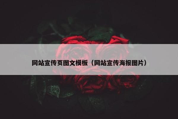 网站宣传页图文模板（网站宣传海报图片）