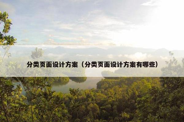 分类页面设计方案（分类页面设计方案有哪些）