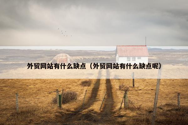 外贸网站有什么缺点（外贸网站有什么缺点呢）