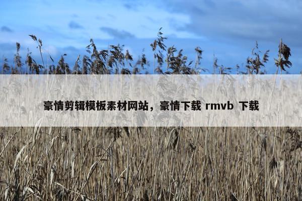 豪情剪辑模板素材网站，豪情下载 rmvb 下载