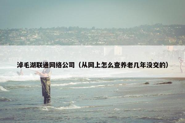 淖毛湖联通网络公司（从网上怎么查养老几年没交的）