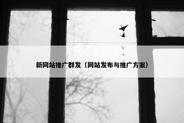 新网站推广群发（网站发布与推广方案）