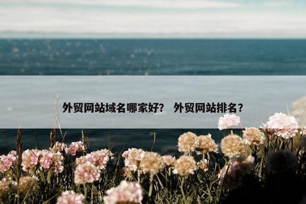 外贸网站域名哪家好？ 外贸网站排名？