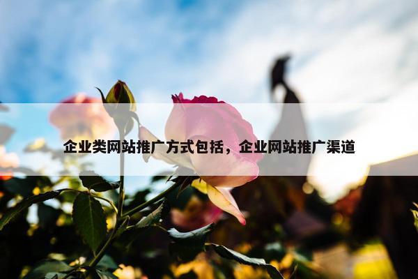 企业类网站推广方式包括，企业网站推广渠道