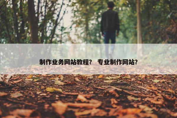 制作业务网站教程？ 专业制作网站？