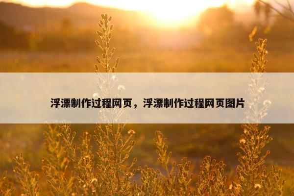 浮漂制作过程网页，浮漂制作过程网页图片