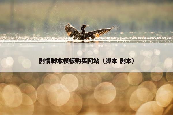剧情脚本模板购买网站（脚本 剧本）