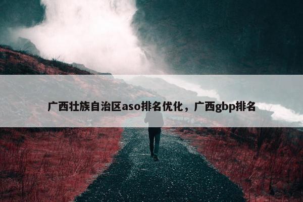 广西壮族自治区aso排名优化，广西gbp排名