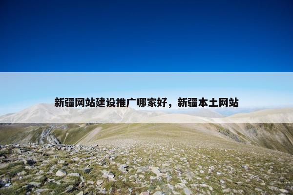 新疆网站建设推广哪家好，新疆本土网站