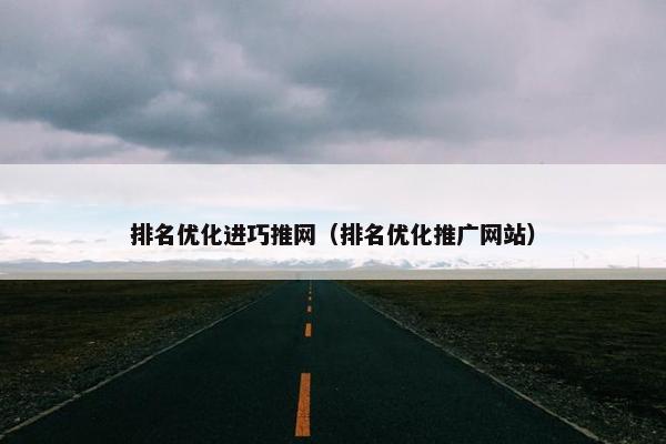 排名优化进巧推网（排名优化推广网站）