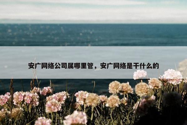 安广网络公司属哪里管，安广网络是干什么的
