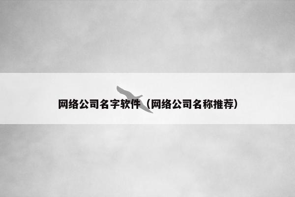 网络公司名字软件（网络公司名称推荐）