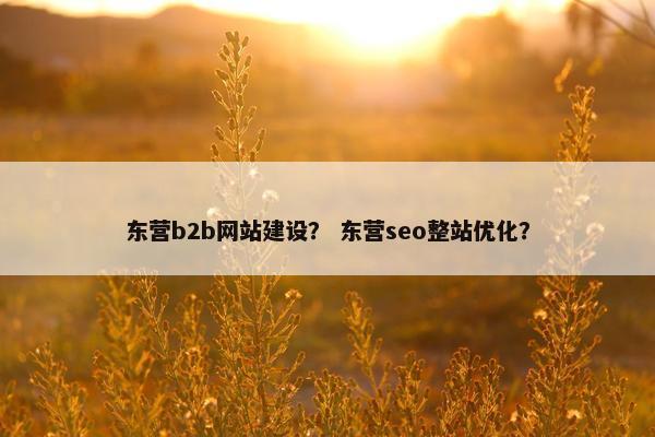 东营b2b网站建设？ 东营seo整站优化？