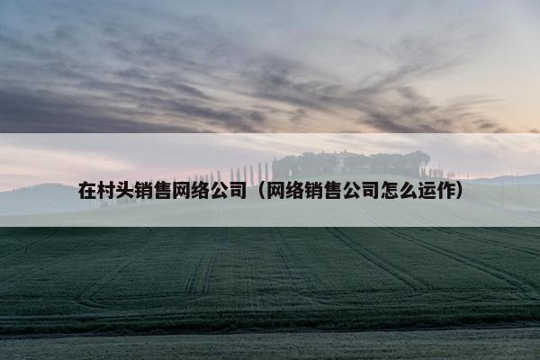 在村头销售网络公司（网络销售公司怎么运作）