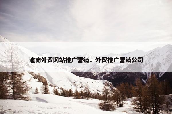潼南外贸网站推广营销，外贸推广营销公司