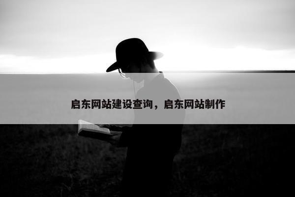 启东网站建设查询，启东网站制作
