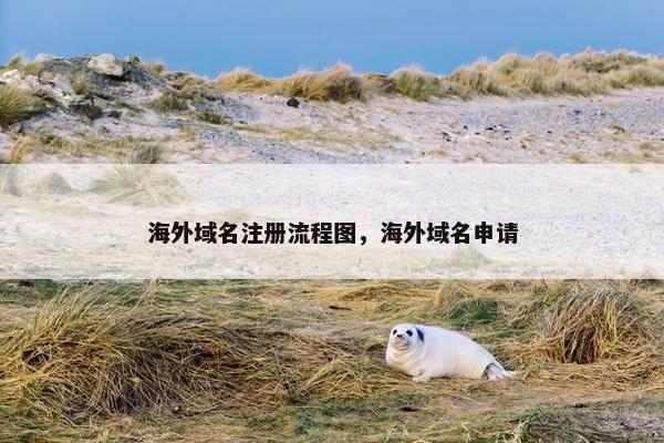 海外域名注册流程图，海外域名申请