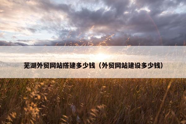 芜湖外贸网站搭建多少钱（外贸网站建设多少钱）
