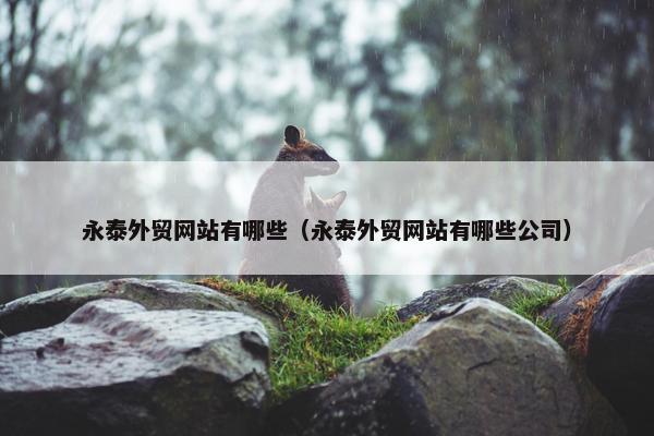 永泰外贸网站有哪些（永泰外贸网站有哪些公司）