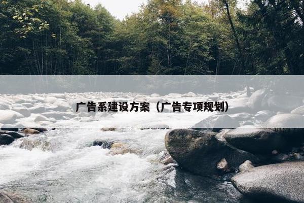 广告系建设方案（广告专项规划）