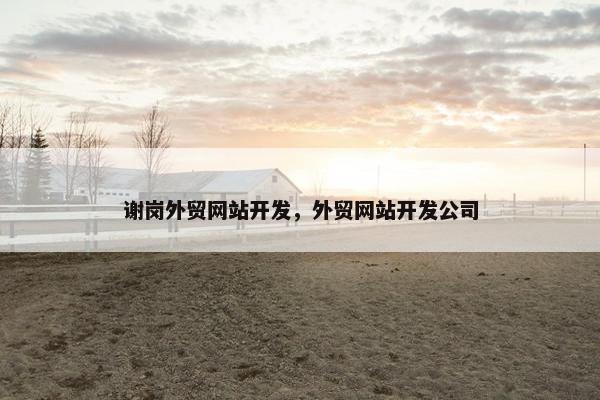 谢岗外贸网站开发，外贸网站开发公司