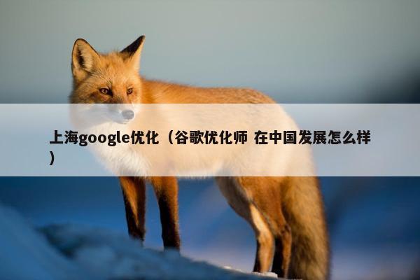 上海google优化（谷歌优化师 在中国发展怎么样）