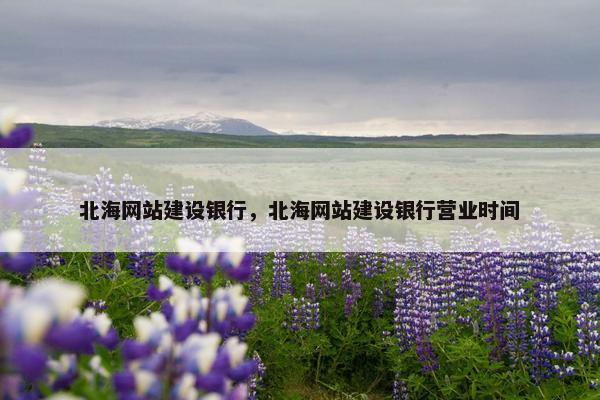 北海网站建设银行，北海网站建设银行营业时间