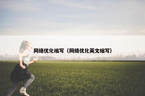 网络优化缩写（网络优化英文缩写）