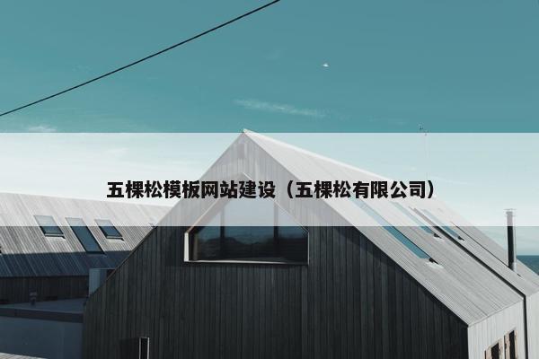 五棵松模板网站建设（五棵松有限公司）