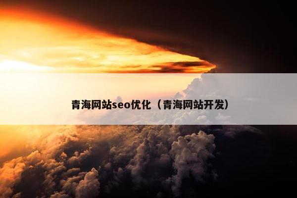 青海网站seo优化（青海网站开发）