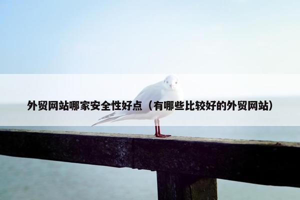 外贸网站哪家安全性好点（有哪些比较好的外贸网站）